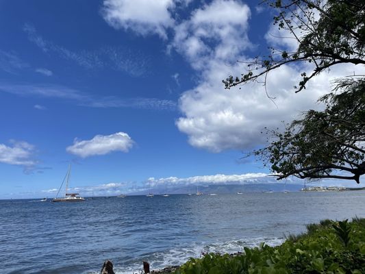 Aloha Mixed Plate by null