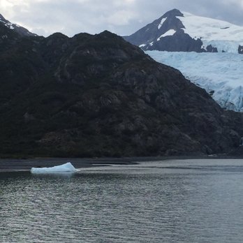 Alaska's Finest Tours & Cruises - Glacier - Tours Near Me - Anchorage, Alaska Alaska's Finest Tours & Cruises - Glacier - Tours Near Me - Anchorage, Alaska