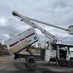 Moyer's Tree Service