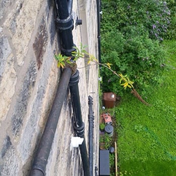 1st Call Plumbing Services - The root in question found a weakness in cast iron joining collar not been properly sealed and along come a seed. - Plumbing Near Me - Edinburgh, EDH 1st Call Plumbing Services - The root in question found a weakness in cast iron joining collar not been properly sealed and along come a seed. - Plumbing Near Me - Edinburgh, EDH