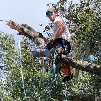 Noe Trees - Tree Services Near Me