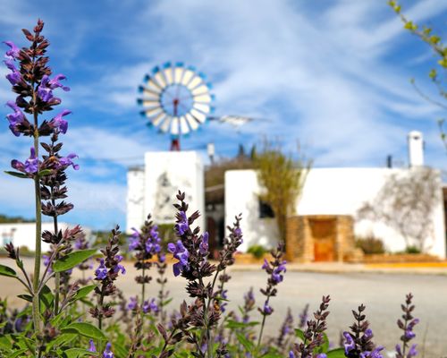 Es Caliu Ibiza by null