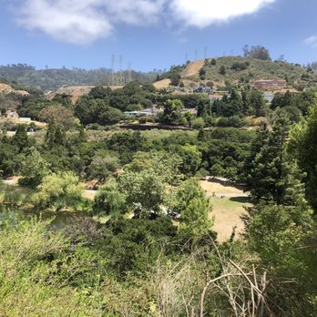 Lake Temescal - June 2020 from the hiking trail - Parks Near Me - Oakland, California