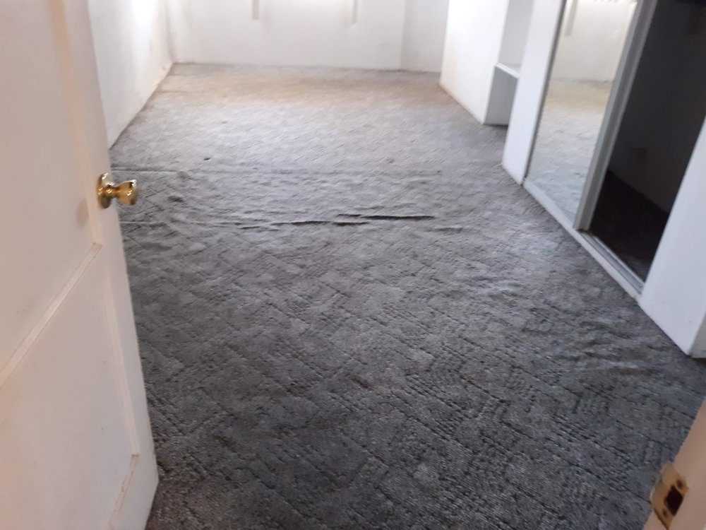 THE GREAT BRITISH CARPET CLEANING PEOPLE 28 Reviews 28154 Robin Ave