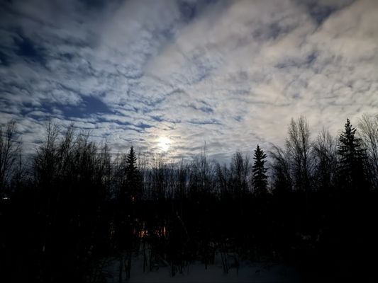 Alaska Grizzly Lodge by null