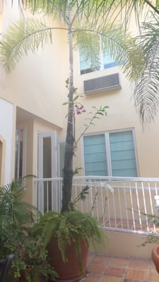 Hotel Miramar by null