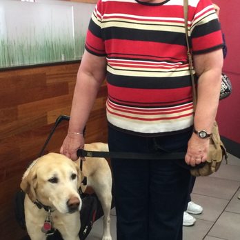 Wendy's - a woman with a service dog - Burgers Near Me - Royersford, Pennsylvania Wendy's - a woman with a service dog - Burgers Near Me - Royersford, Pennsylvania