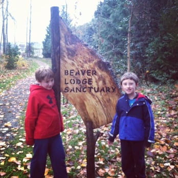 Beaver Lodge Sanctuary - Young explorers of Beaver Lodge Sanctuary. - Parks Near Me - Seattle, Washington