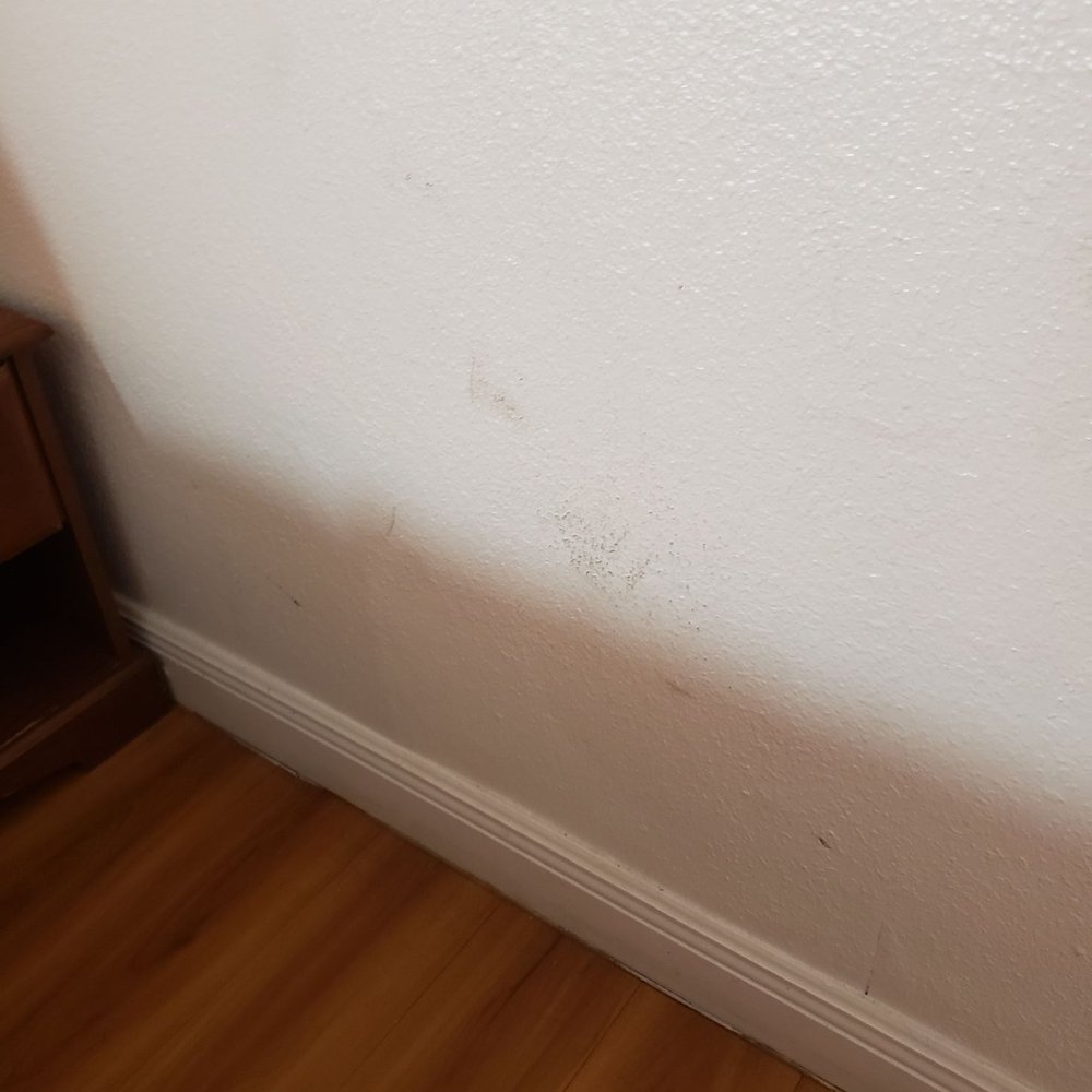 Motel 6 - Stains on wall - Hotels Near Me - Natchitoches, Louisiana