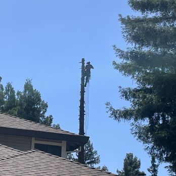 Humboldt Tree Service - Chris climber - Tree Services Near Me Humboldt Tree Service - Chris climber - Tree Services Near Me