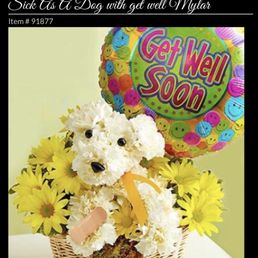 The picture from the wedsite The picture from the wedsite