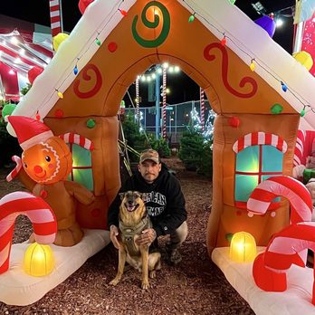 Christmas Tree Village - Christmas Trees Near Me - La Palma, California Christmas Tree Village - Christmas Trees Near Me - La Palma, California