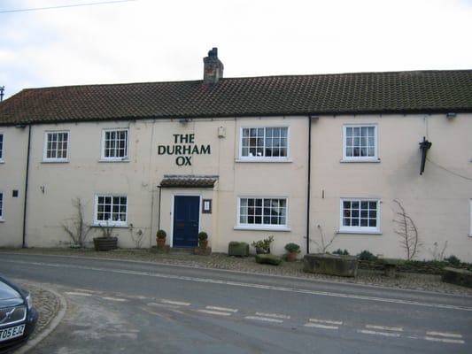 The Durham Ox by null