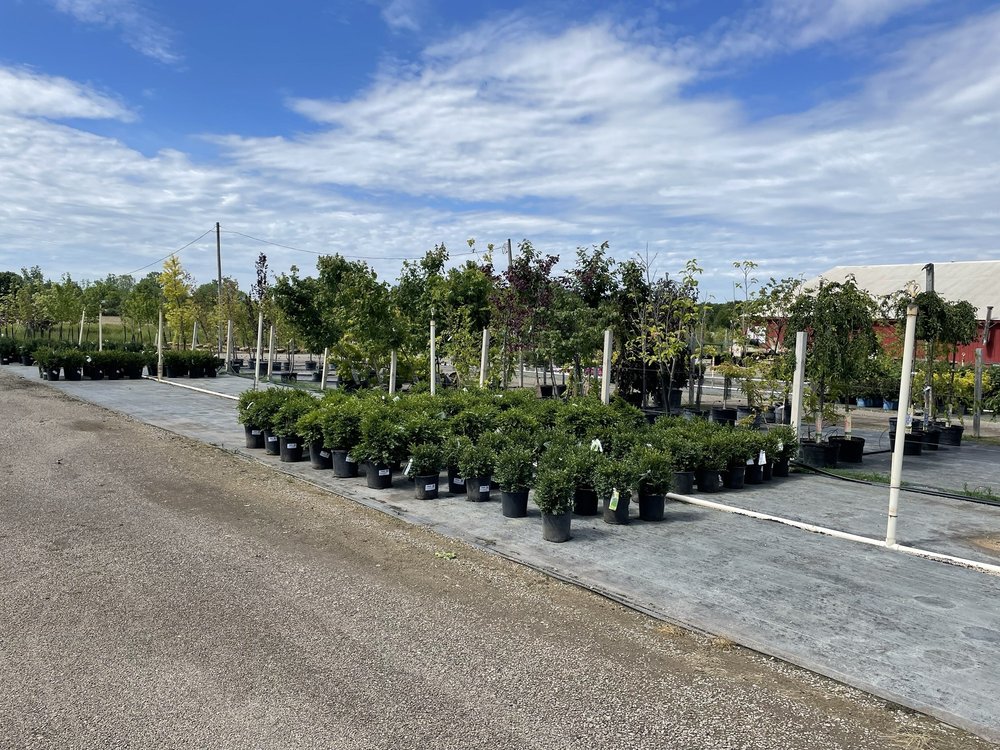 THE COTTAGE GARDENS Updated September 2024 51 Photos 2611 S