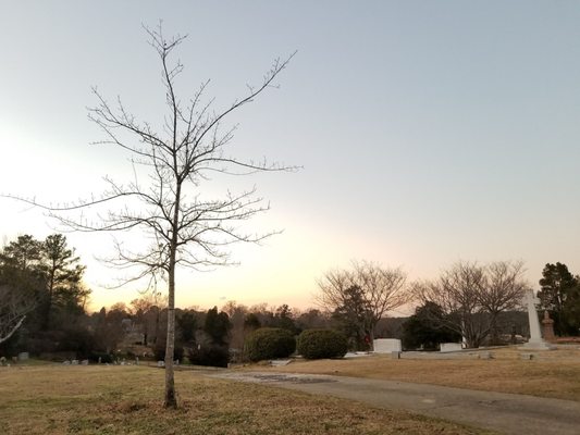 Rose Hill Cemetery 1840 by null