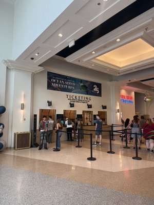 Shark Reef Aquarium at Mandalay Bay by null