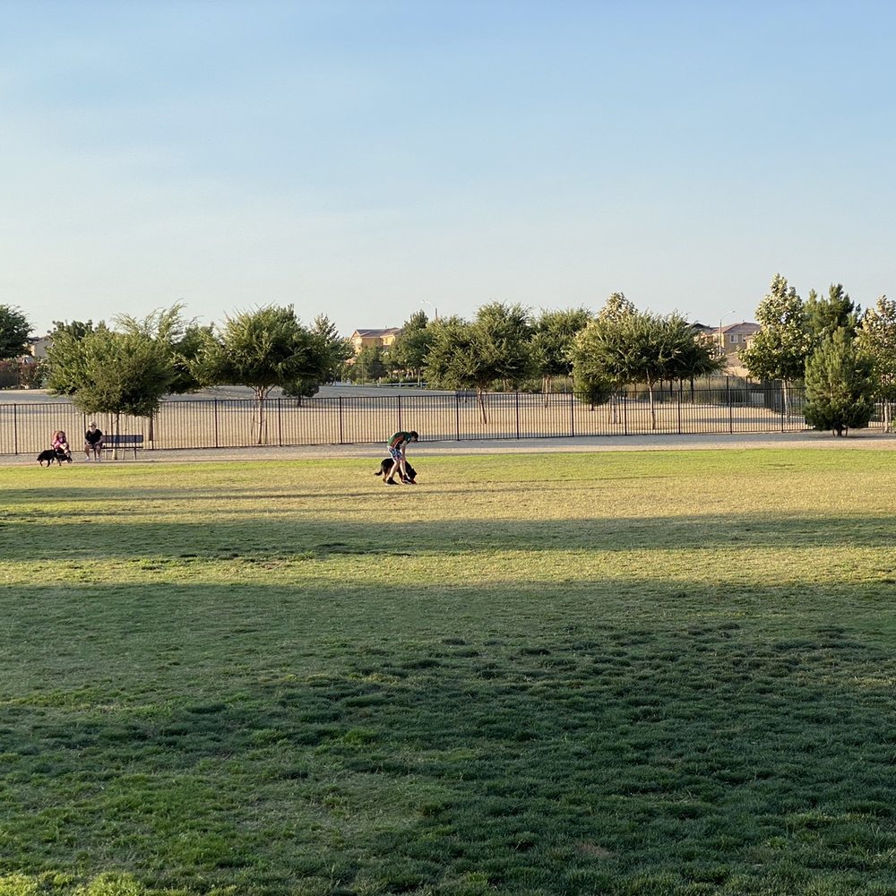 Park, dog Park, dog