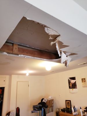 Color World By Shoultz