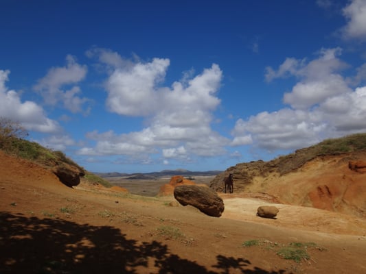 Rano Raraku by null