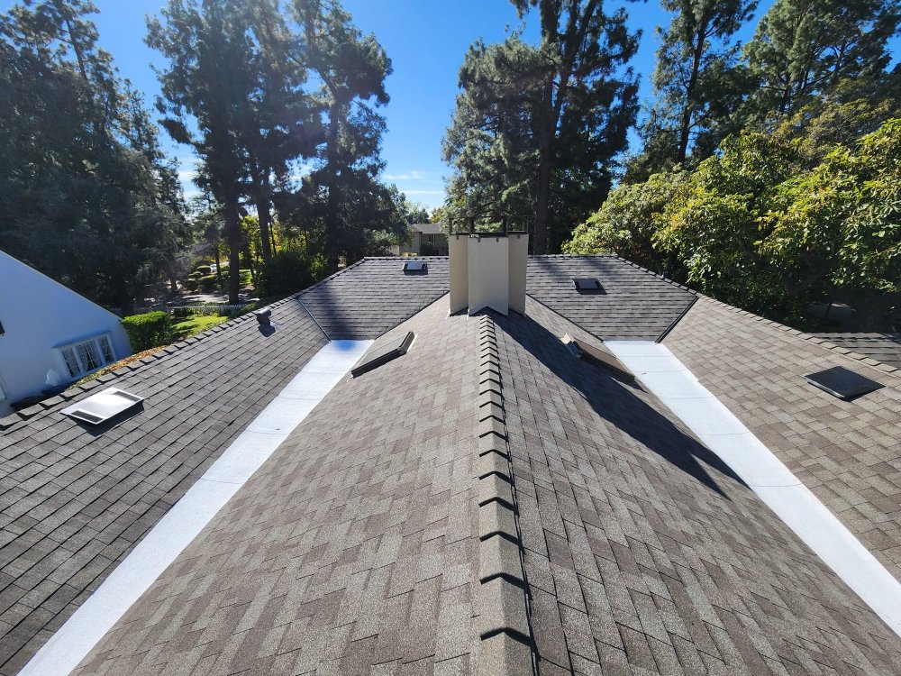 Slide of Lara's Roof