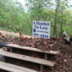 A Plumber For Less