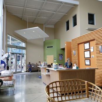 Eagle Veterinary Hospital - Veterinarians Near Me - San Antonio, Texas