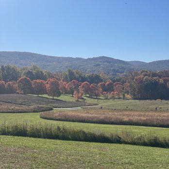 Storm King Art Center - Art Museums Near Me - New Windsor, New York
