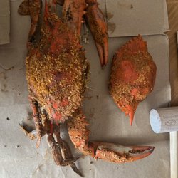 Happy George - Was just sold both of these as large crabs.......