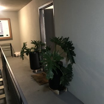 Fairfax Woods Apartments - Entrance to a unit. - Apartments Near Me - Fairfax, California Fairfax Woods Apartments - Entrance to a unit. - Apartments Near Me - Fairfax, California