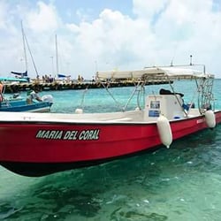 DC Explorer Whale Sharks - MARIA DEL CORAL BOAT Snorkeling trips Fishing trips