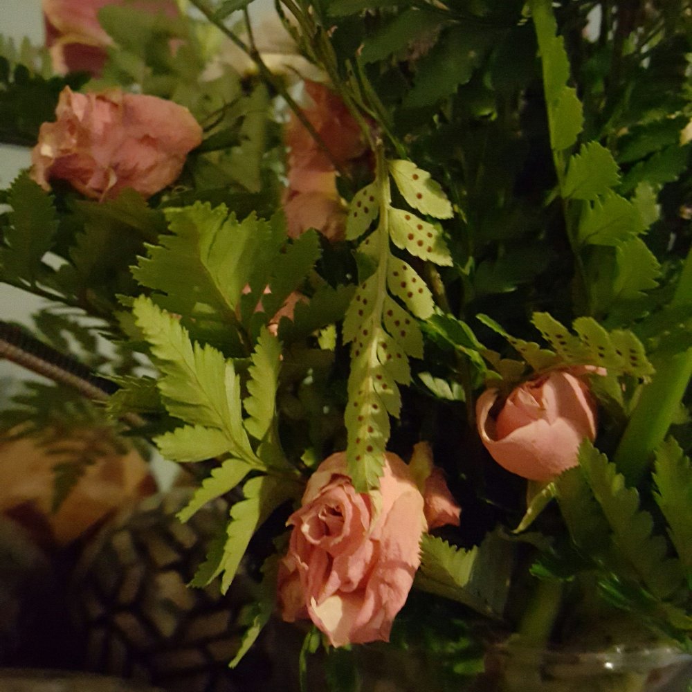Kay-Tee Florist on Mason Road - HEB guarantees their flowers for 7 days. Is it too much to expect same from expensive arrangement? - Florists Near Me - Katy, Texas Kay-Tee Florist on Mason Road - HEB guarantees their flowers for 7 days. Is it too much to expect same from expensive arrangement? - Florists Near Me - Katy, Texas