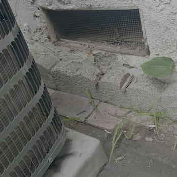 Aesthetic Wildlife Control - Wildlife Control Near Me - Long Beach, California Aesthetic Wildlife Control - Wildlife Control Near Me - Long Beach, California