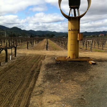 Mauritson Wines - Wineries Near Me - Healdsburg, California Mauritson Wines - Wineries Near Me - Healdsburg, California