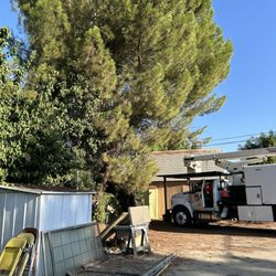 Cut Rite Tree Service - Equipment