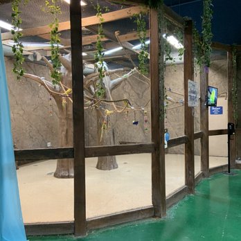 SeaQuest - Folsom - Parakeet Paradise - Aquariums Near Me - Folsom, California SeaQuest - Folsom - Parakeet Paradise - Aquariums Near Me - Folsom, California