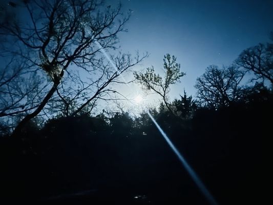 Chickasaw National Recreation Area by null