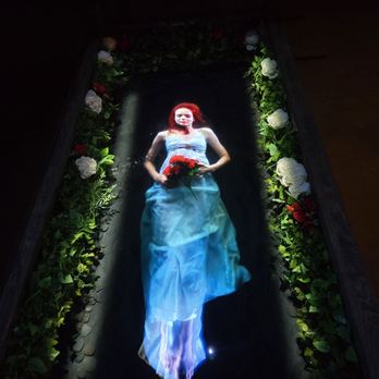 Mad Arts - Art Museums Near Me - Dania Beach, Florida