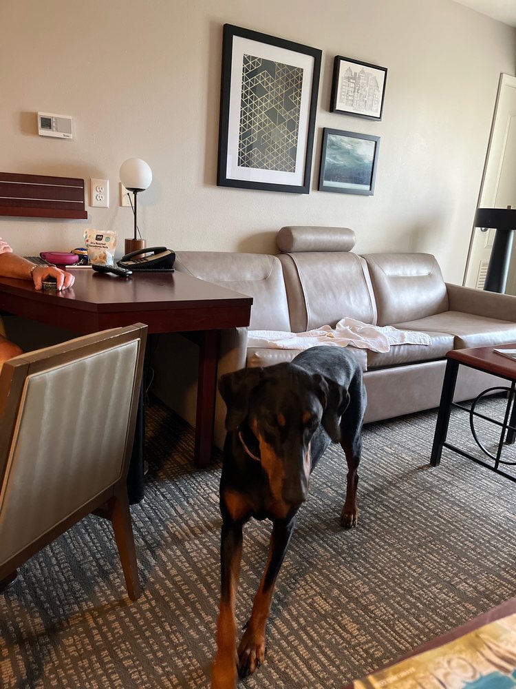 RESIDENCE INN LEXINGTON KEENELAND/AIRPORT Updated September 2024 66