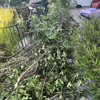 Spartan Tree Service - Part of the removal - Tree Services Near Me