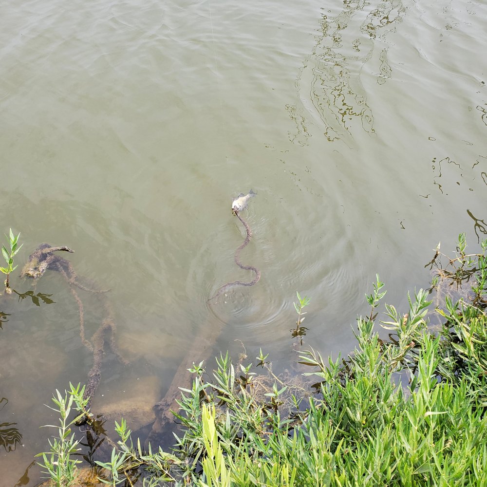 Kill Creek Park - Parks Near Me - Olathe, Kansas Kill Creek Park - Parks Near Me - Olathe, Kansas