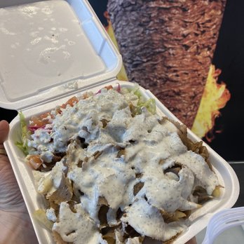 Döner Kebab Express - Las Vegas - Frys with gyro meat, garlic sauce and side salad. - Kebab Near Me - Las Vegas, Nevada