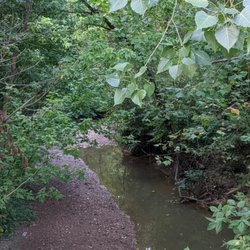 Sam Peden Community Park - A creek along the trail.