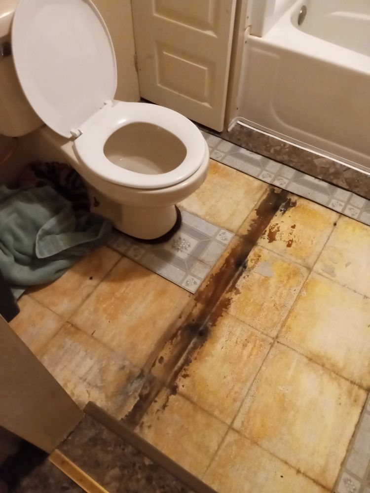 Slide of Rapid Repair