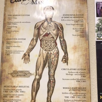 Oasis Cannabis Superstore - Cannabis Clinics Near Me - Denver, Colorado Oasis Cannabis Superstore - Cannabis Clinics Near Me - Denver, Colorado