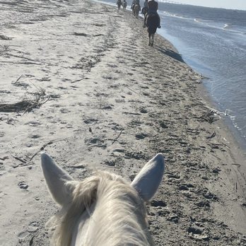 Three Oaks Farm - Riding on the beach - Horseback Riding Near Me - Jekyll Island, Georgia Three Oaks Farm - Riding on the beach - Horseback Riding Near Me - Jekyll Island, Georgia