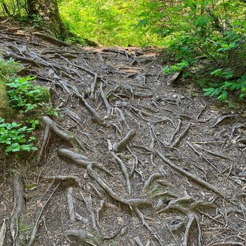 Dog Mountain - Hiking Near Me
