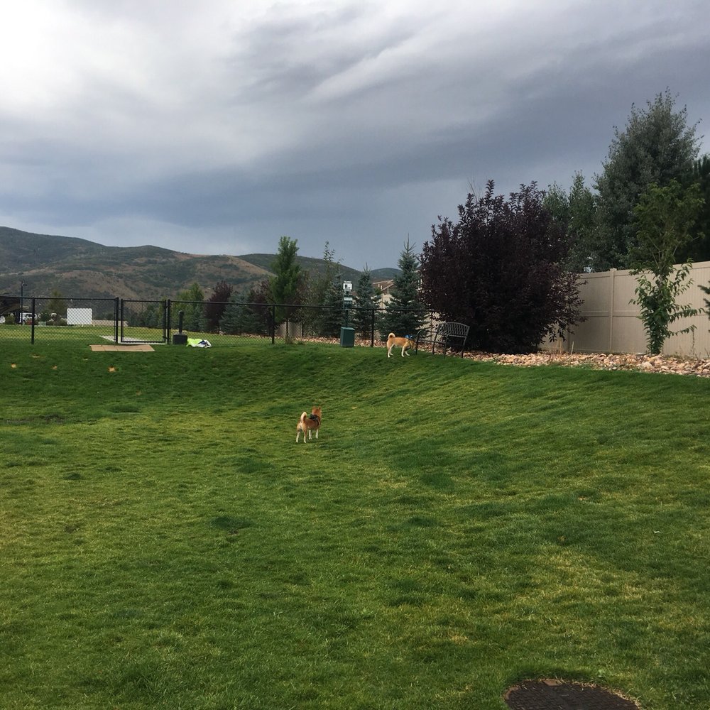 Mountain Valley RV Resort - Largest fenced dog park - RV Parks Near Me - Heber City, Utah Mountain Valley RV Resort - Largest fenced dog park - RV Parks Near Me - Heber City, Utah