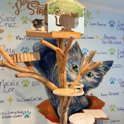 El Gato Coffeehouse & Cat Cottage