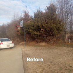 Affordable Tree Service