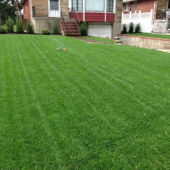 Marra Landscaping - The front of my home with brand new green grass! - Gardeners Near Me - Melville, New York Marra Landscaping - The front of my home with brand new green grass! - Gardeners Near Me - Melville, New York